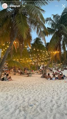 people are sitting on the beach under palm trees and umbrellas at night, with lights strung overhead