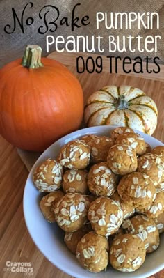 no bake pumpkin peanut butter dog treats in a bowl next to an orange pumpkin