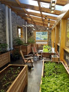 a room filled with lots of green plants and wooden benches next to eachother