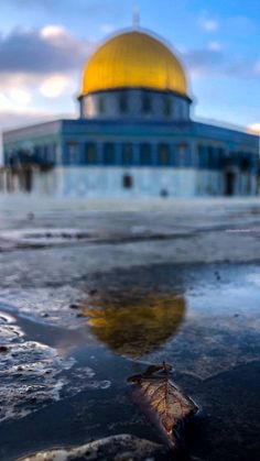 a large building with a yellow dome on it's roof and water in the foreground