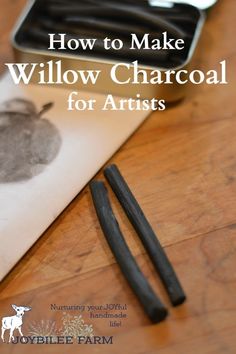 the cover of how to make willow charcoal for artists