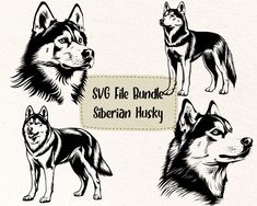 four different types of siberian husky dogs with the words svf file bundle on them