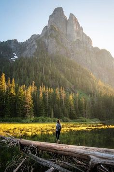 a person standing on a log in front of a mountain