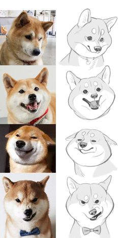 four different pictures of dogs with their mouths open and eyes closed, one is smiling