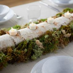 candles are lit in the center of a table with moss and white birch logs on it