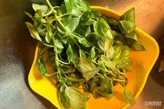 a yellow bowl filled with green leaves on top of a counter