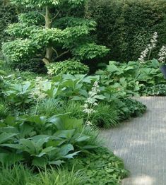 a woman sitting on a bench in the middle of a garden with lots of plants