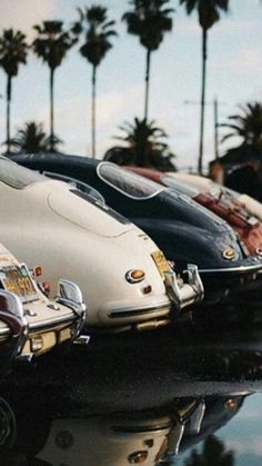 a row of classic sports cars parked next to each other in front of palm trees