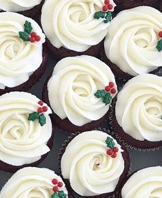 cupcakes with white frosting and holly decorations