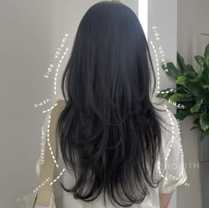 Asian Hair Long Straight, Thick Hair Haircut Face Framing, Asian Layered Hair Medium Straight, Wolfcut Hair Thick Hair, Best Asian Hairstyles For Women, Layers Haircut Asian, Layers For Asian Hair, Layer V Haircut, Asian Layers Medium