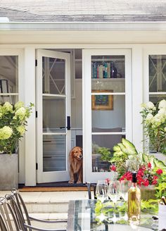 a dog sitting on the front steps of a house with flowers and greenery around it