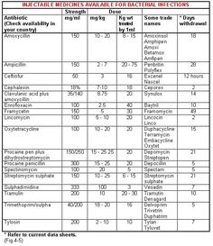 The primary sites of injection in pigs | The Pig Site Tyson Foods, Small Pigs, Agricultural Science, Bacterial Infection, Medical Knowledge, The Fold, Medical Education