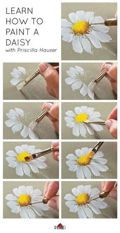 how to paint daisies with pirscilla houser - step by step instructions