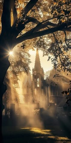 the sun shines through the trees in front of an old church on a foggy day