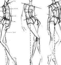 three sketches of female body shapes