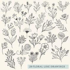 the 25 floral line drawings are available in various sizes and colors