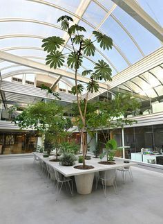 an indoor courtyard with tables, chairs and trees in pots on the concrete flooring