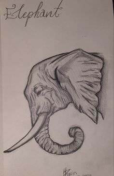 a drawing of an elephant with tusks on it's head