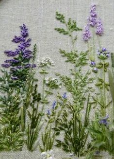 several different types of wildflowers are displayed on a piece of fabric with scissors