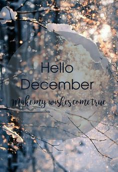 an umbrella with the words hello december make my wish come true on it in front of some trees