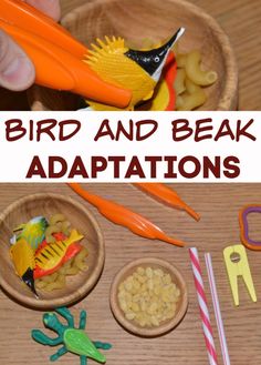 the bird and beak appetizers are in wooden bowls