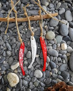 three red and white fish shaped ornaments hanging from a tree branch on some rocks with pine cones in the background