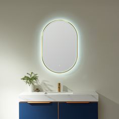 a bathroom vanity with a round mirror above it and a plant on the counter top