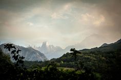 the mountains are covered in clouds and trees