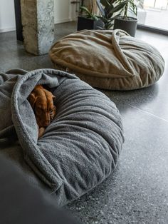 two dogs are sleeping in their beds on the floor