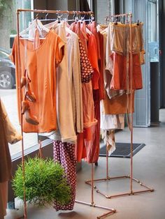 clothes are hanging on racks in front of a window with a potted plant next to it