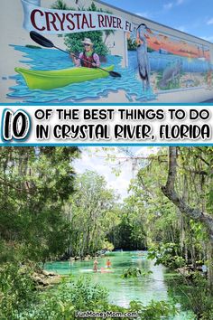 the best things to do in crystal river florida