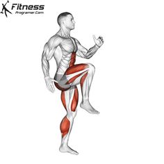 an image of a man doing squats with the muscles highlighted in red and white