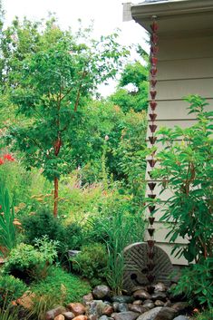 an outdoor garden with rocks and plants in the foreground, next to a house