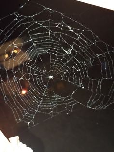 there is a spider web that has been broken in the middle of it's web