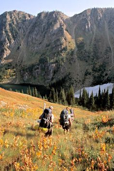 two backpackers trekking up a grassy hill in front of mountains and trees with their backs turned to the camera