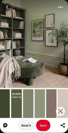 a living room with bookshelves, couch and coffee table in shades of green