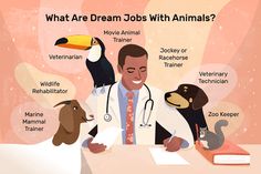 a man sitting at a desk with animals around him and the words what are dream jobs with animals?