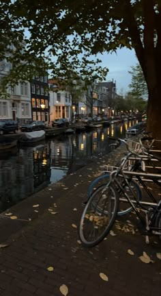 bicycles parked on the side of a river next to trees and buildings at night with lights reflecting in the water