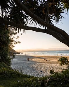 people are walking on the beach at sunset with palm trees and water in the background