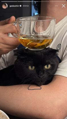 a black cat sitting on top of a person's arm next to a cup