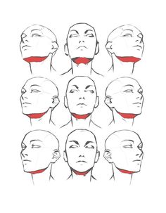 a drawing of different angles of the head and neck, with various facial expressions on each side