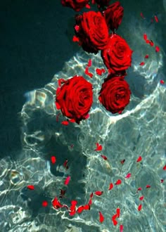 red roses floating in clear water with petals scattered on the bottom and floor below them