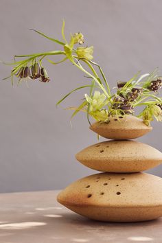 a stack of rocks with plants growing out of them