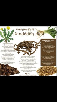 Benefits Of Dandelion Root, Medicinal Herbs Garden, Medical Herbs, Magic Herbs