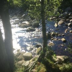 the sun shines on rocks and water near some trees