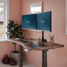 two computer monitors sitting on top of a wooden desk next to a potted plant