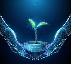 two hands holding a small plant with blue lights in the background and an image of a light bulb above it