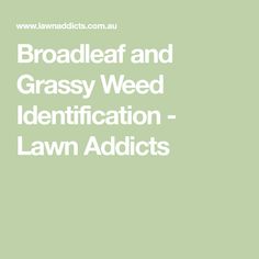 Broadleaf and Grassy Weed Identification - Lawn Addicts Grass Weeds, Weeds In Lawn, Growing Greens, Types Of Soil, Fast Growing, Lawn, Range