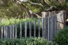 a wooden fence surrounded by trees and bushes