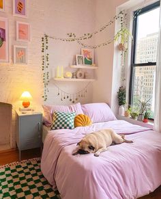 a dog laying on top of a pink bed in a bedroom next to a window